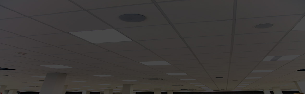Suspended Ceiling