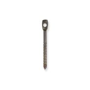 Stainless Steel Eye Lag Screws for Use in Wood - 3" by Doc's Industries Inc.